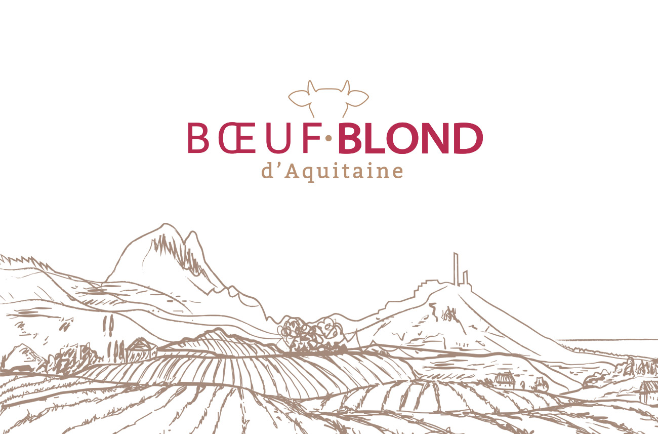 Création d'identité visuelle - Bœuf Blond d'Aquitaine